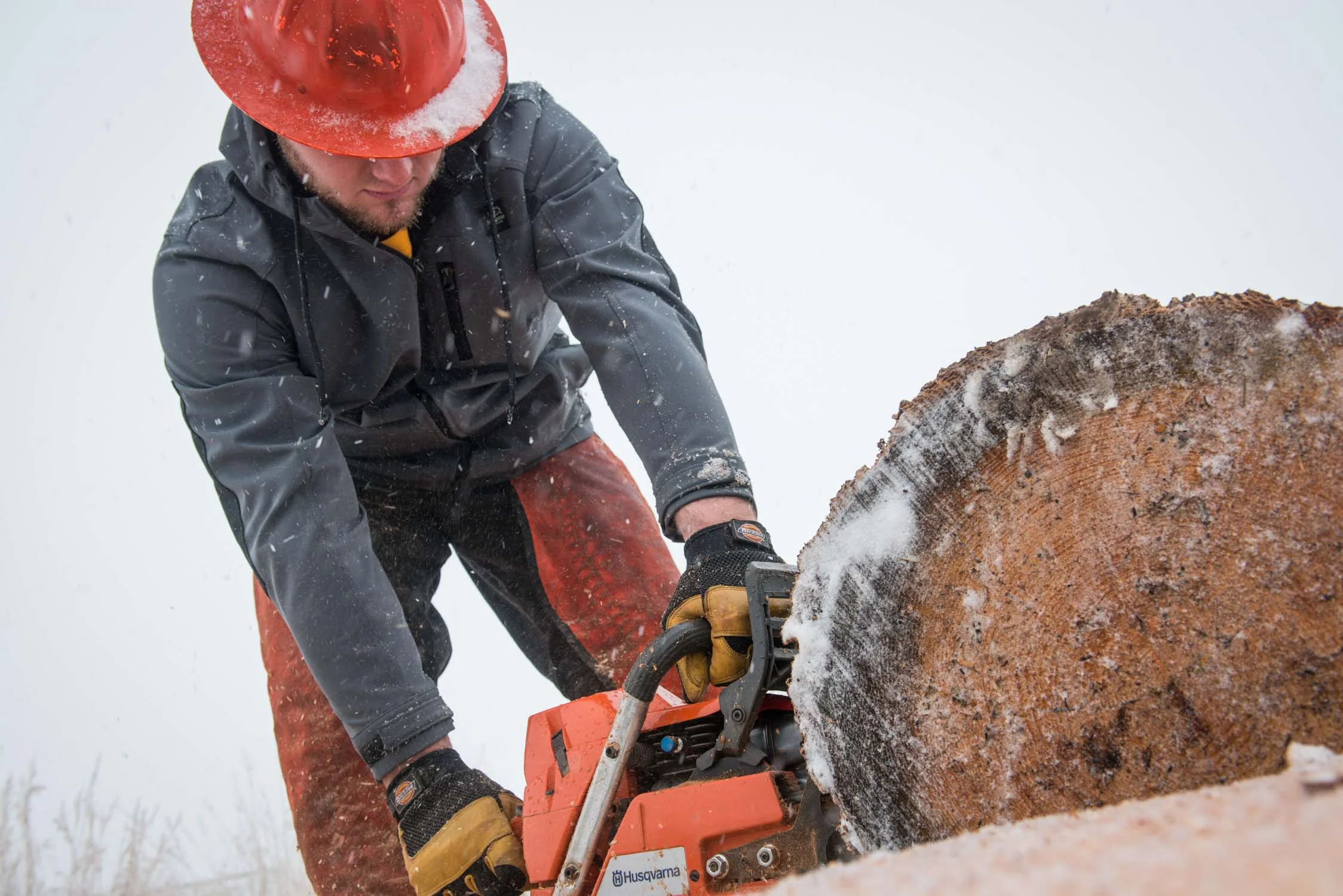 CopelandWork-71.jpg