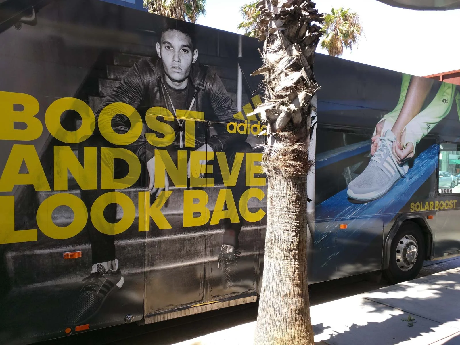 AdidasBus-3.jpg