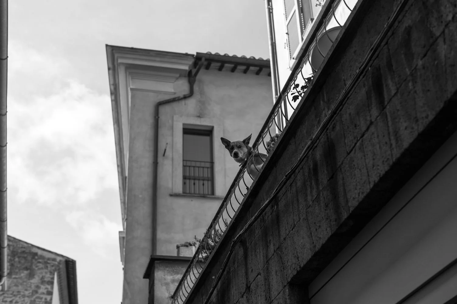 Italia0056.jpg