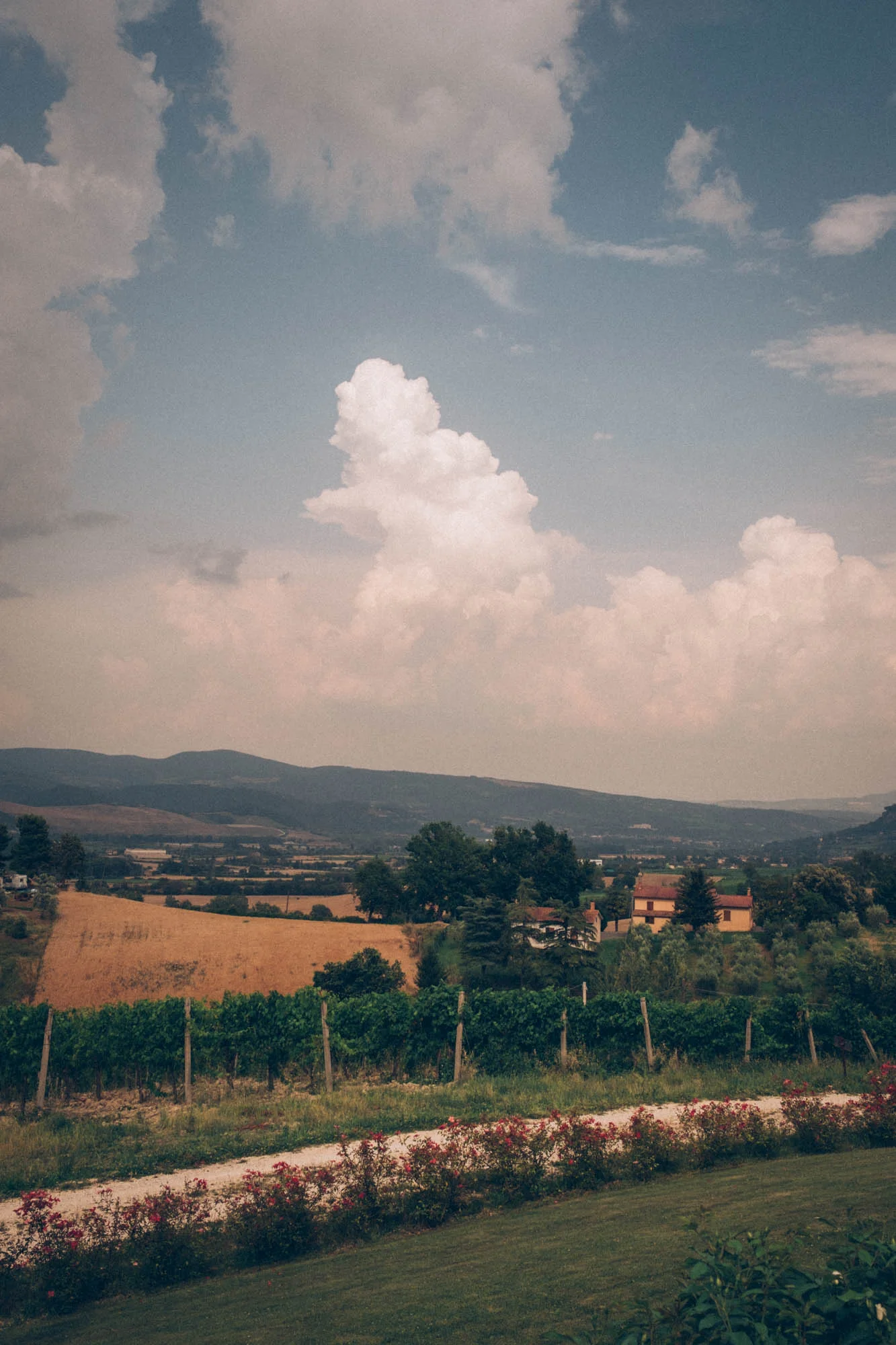 Italia0205.jpg