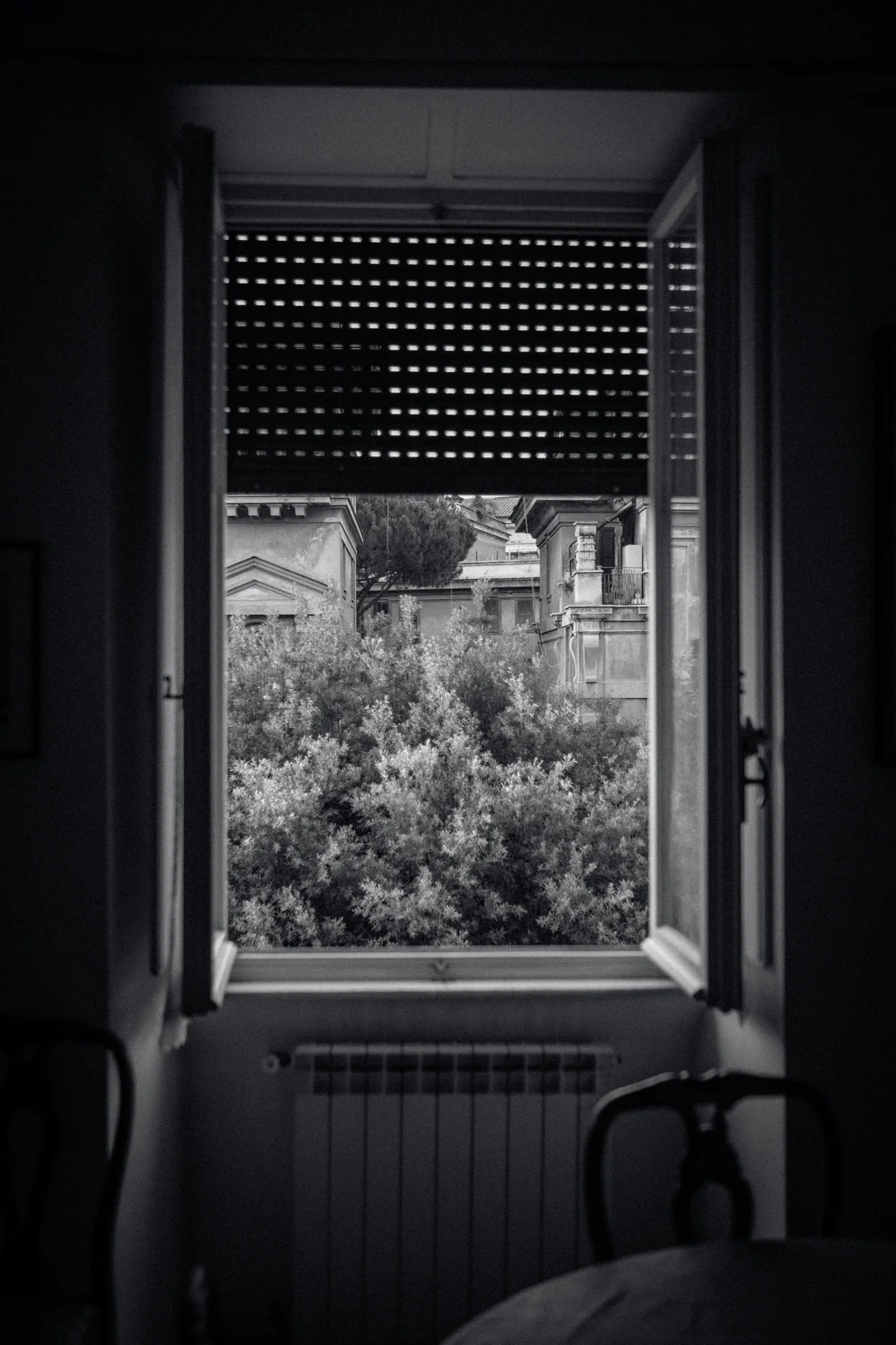 Italia0217.jpg