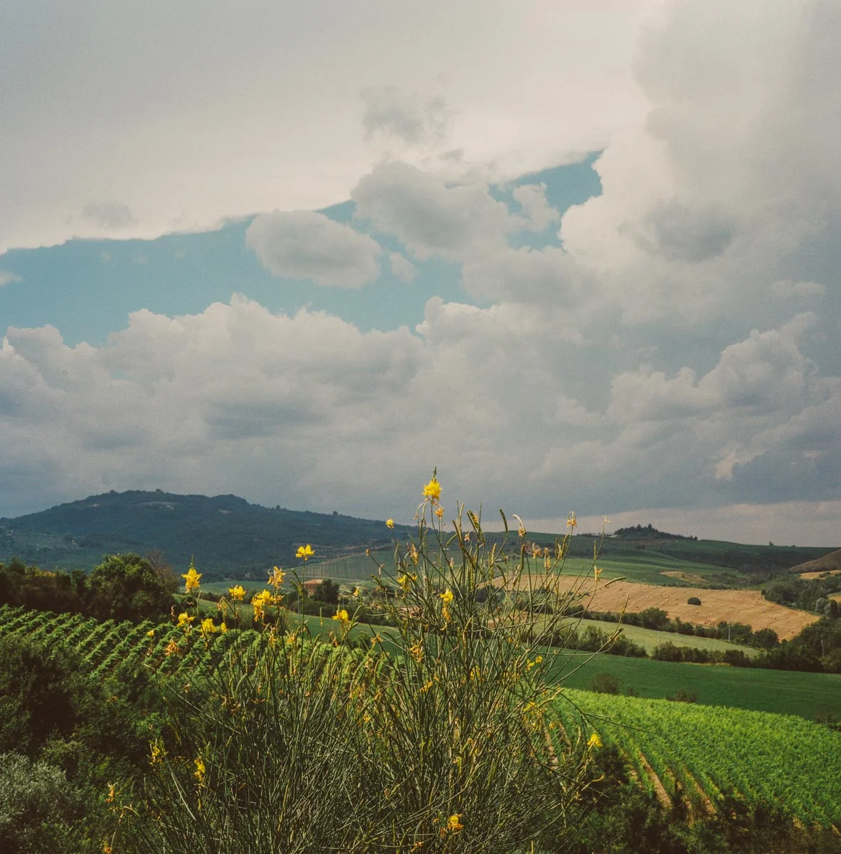 Italia0266.jpg