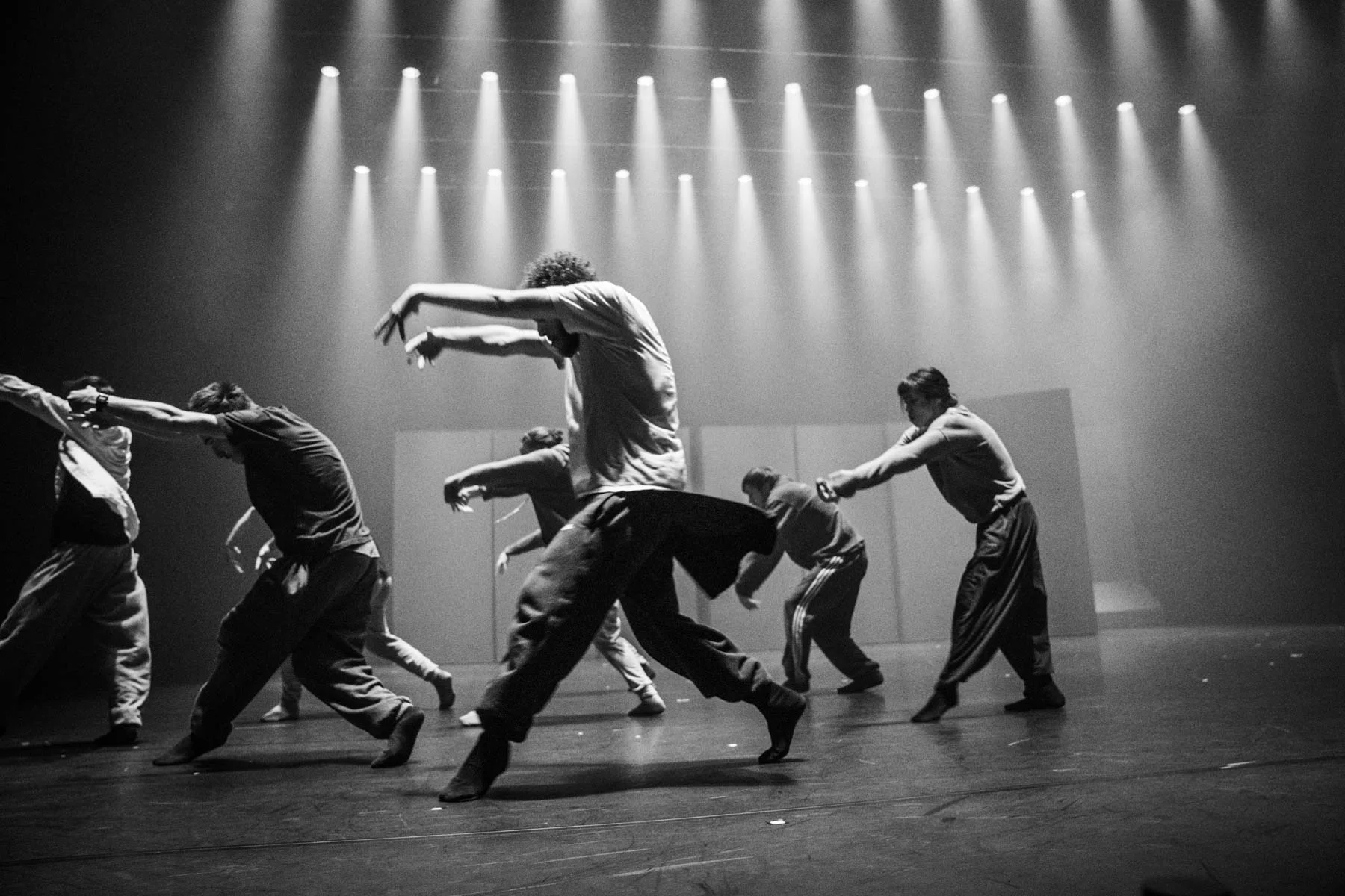HofeshDanceForSite-14.jpg