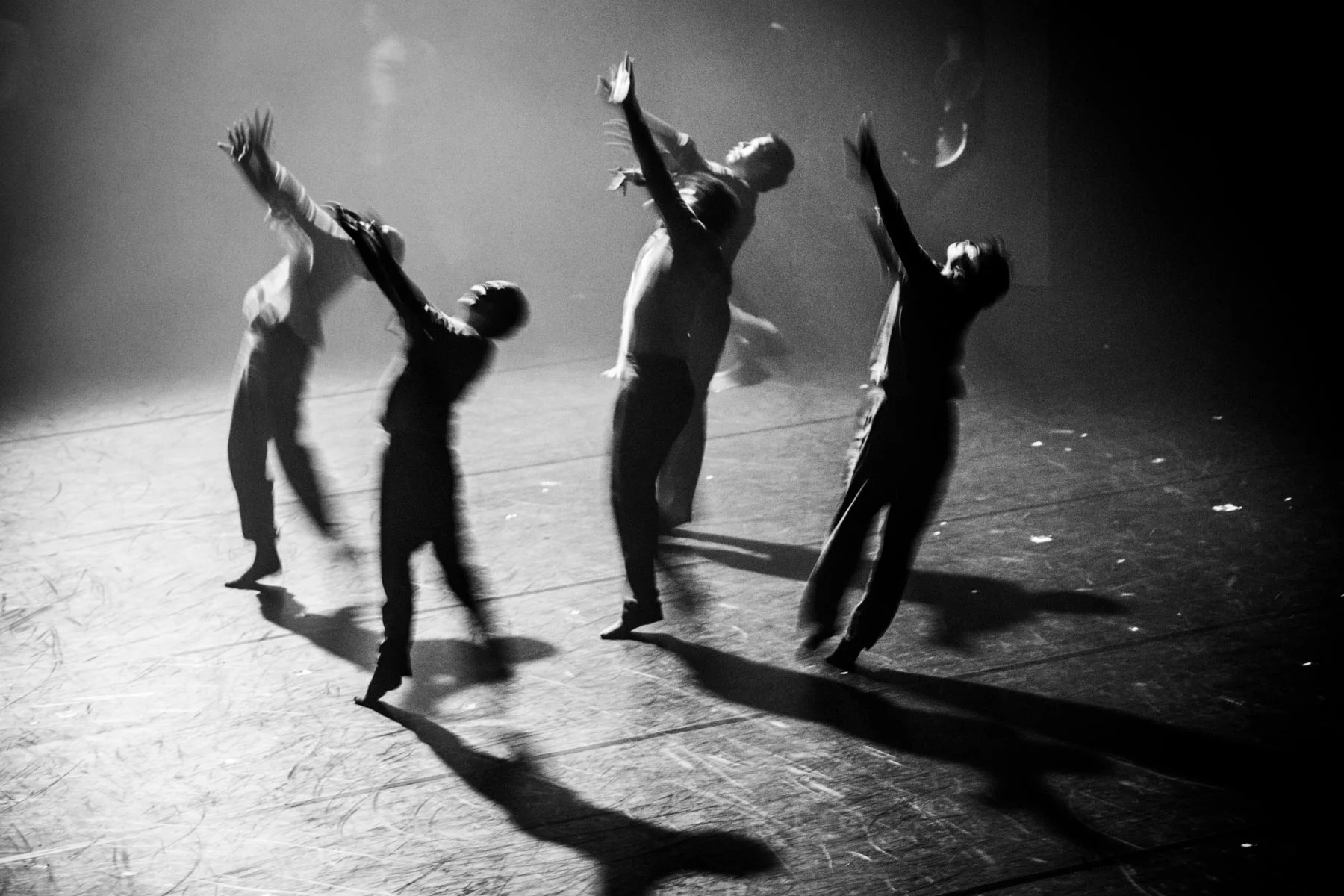 HofeshDanceForSite-17.jpg