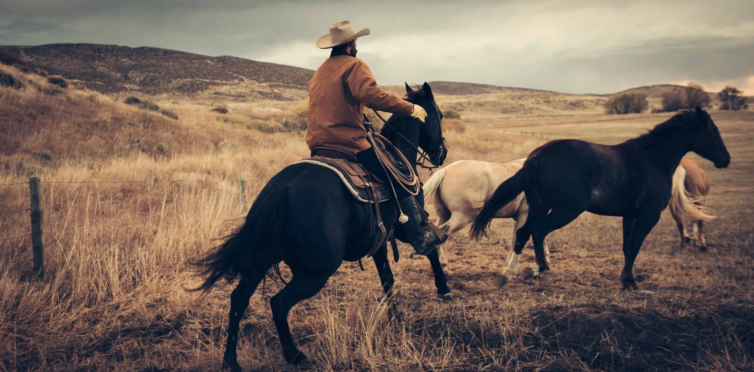 NewCowboy-2.jpg