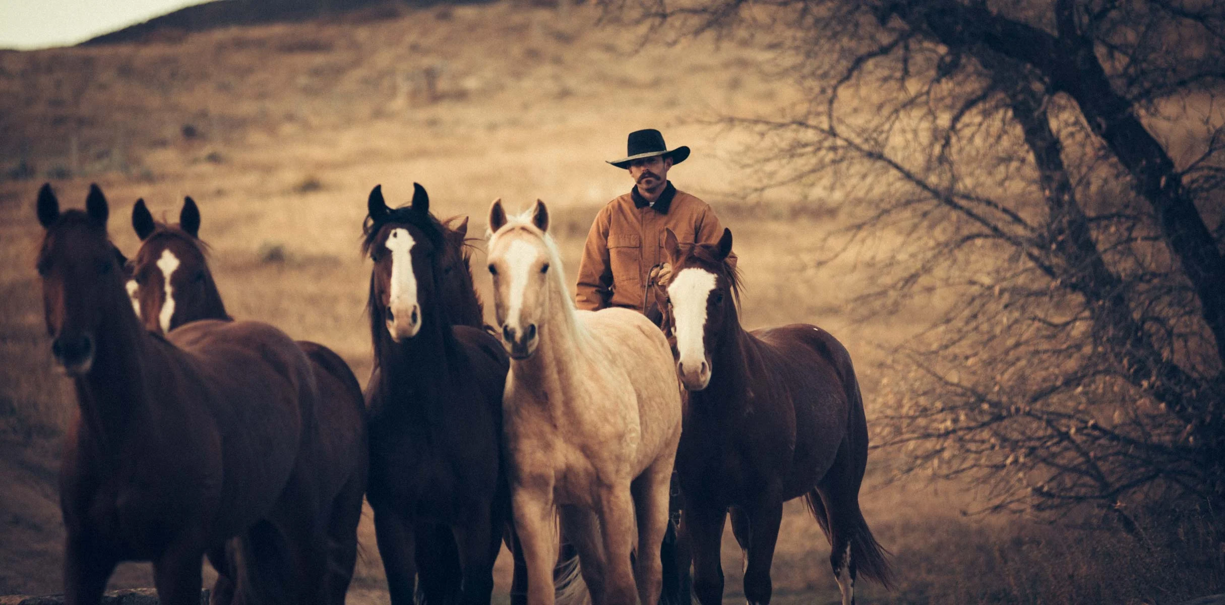 NewCowboy-3.jpg