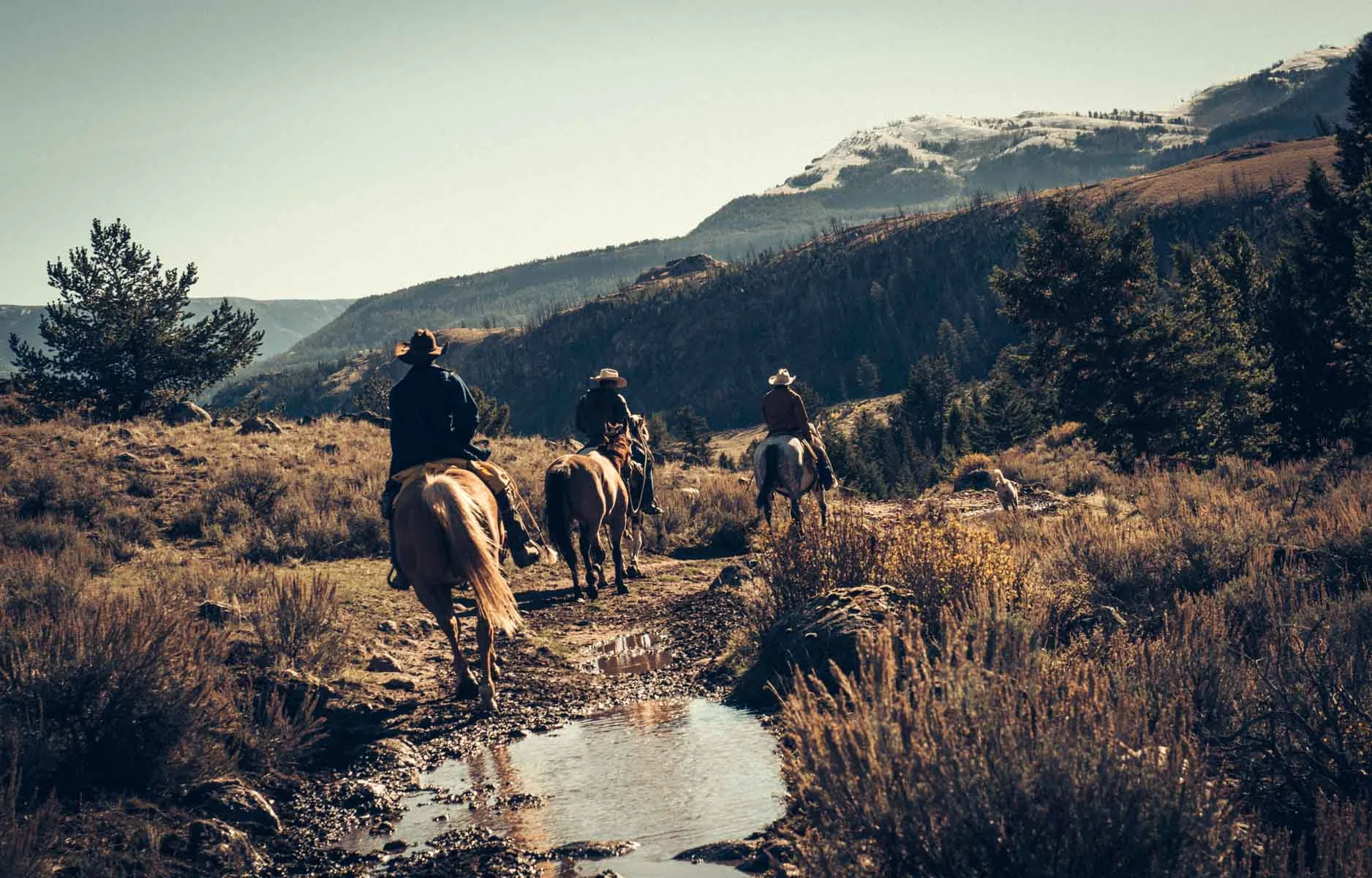 NewCowboy-9.jpg