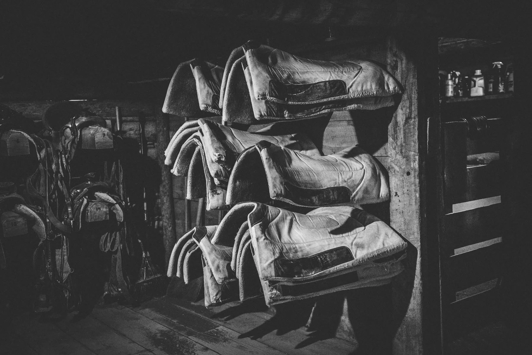 NewCowboy-27.jpg