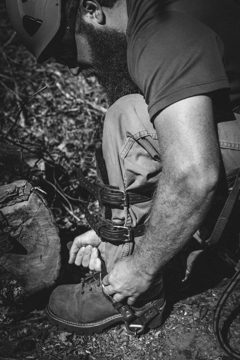 Copeland-ArborHeavyConstruction2-30.jpg