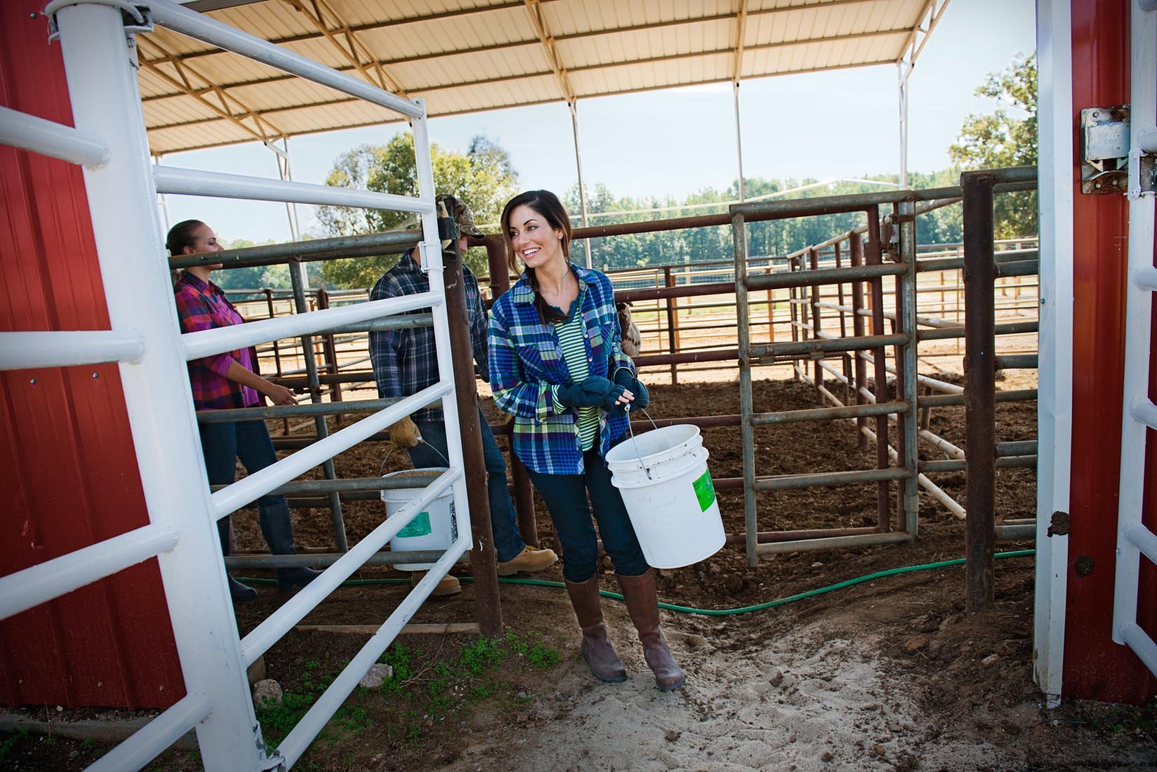 FeedingCattle_2551_Final.jpg