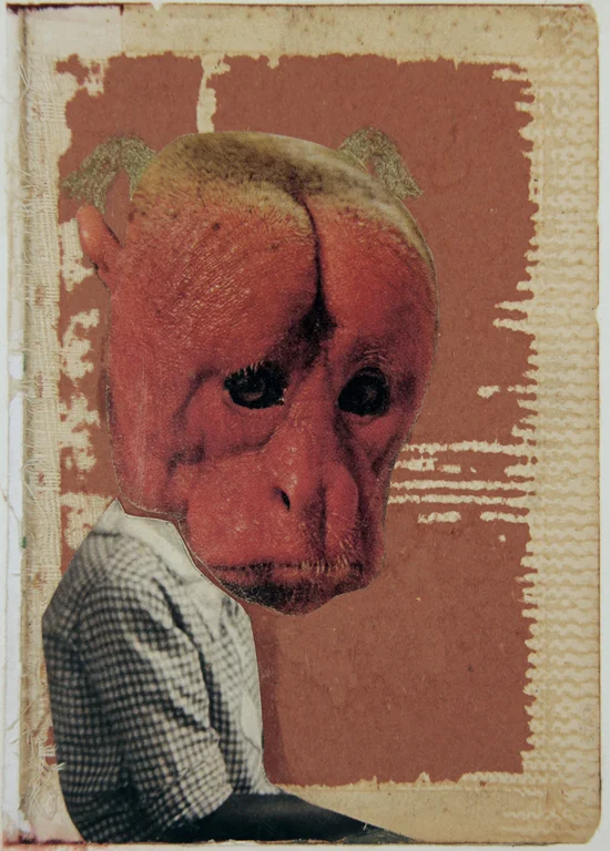 Monkey Face
