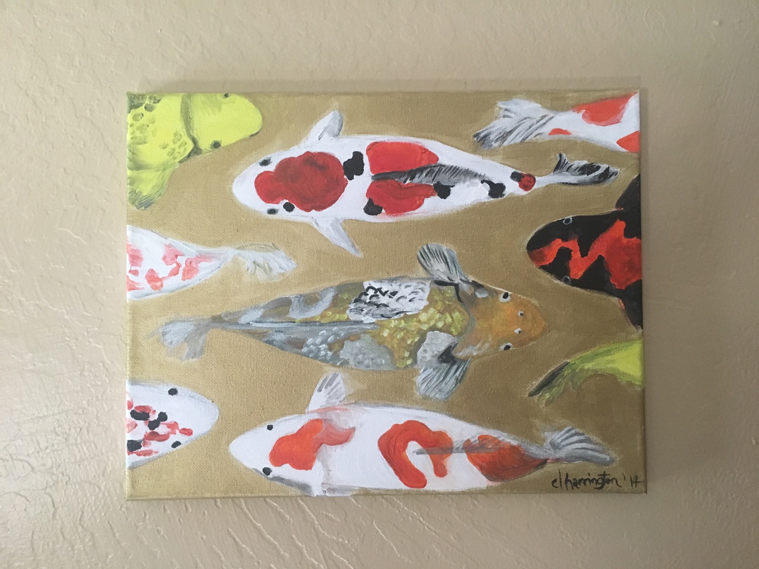 Koi Fish Varieties, Acrylic on Canvas, 11 x 14 inches, 2014