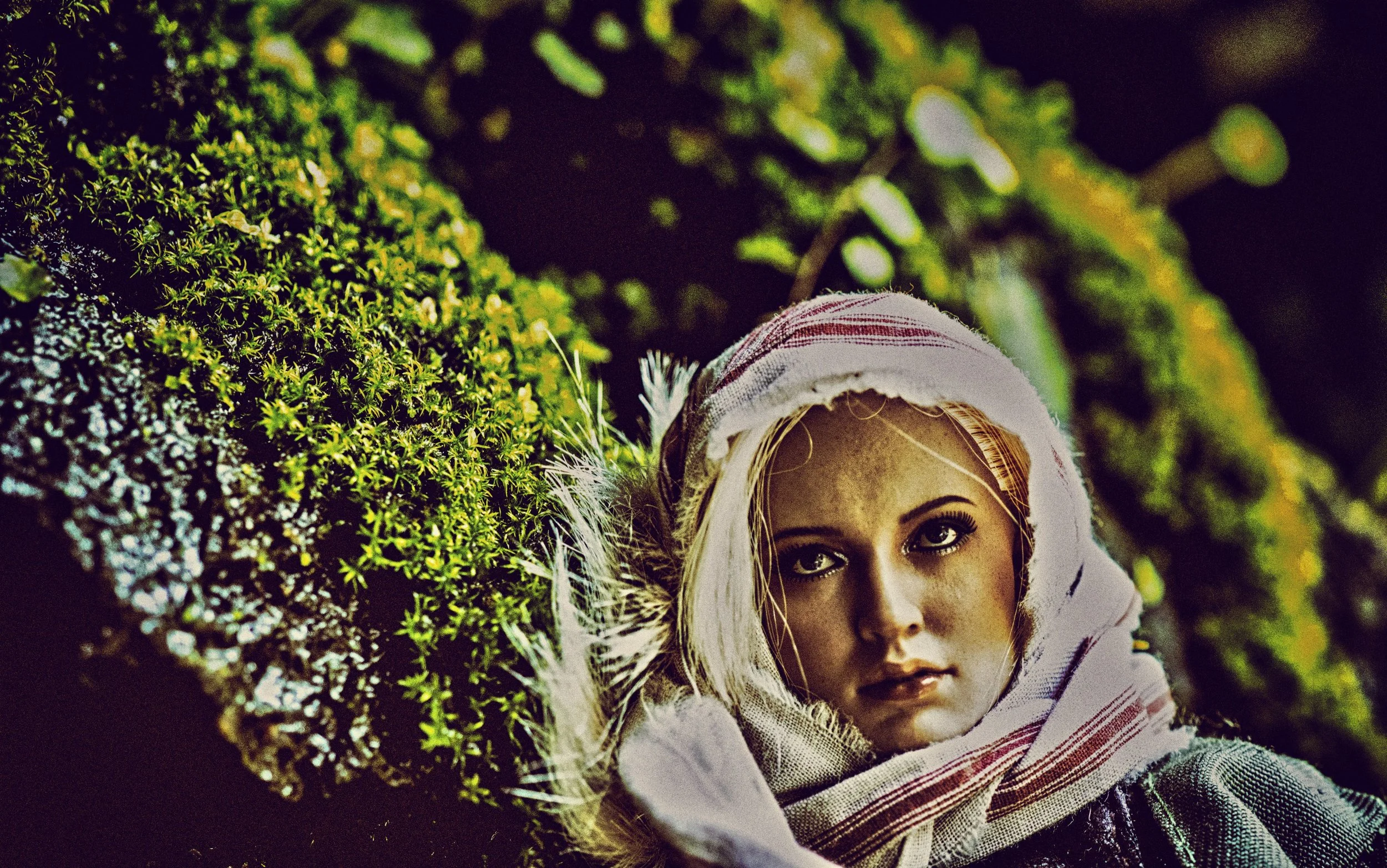 Alone In The Wood