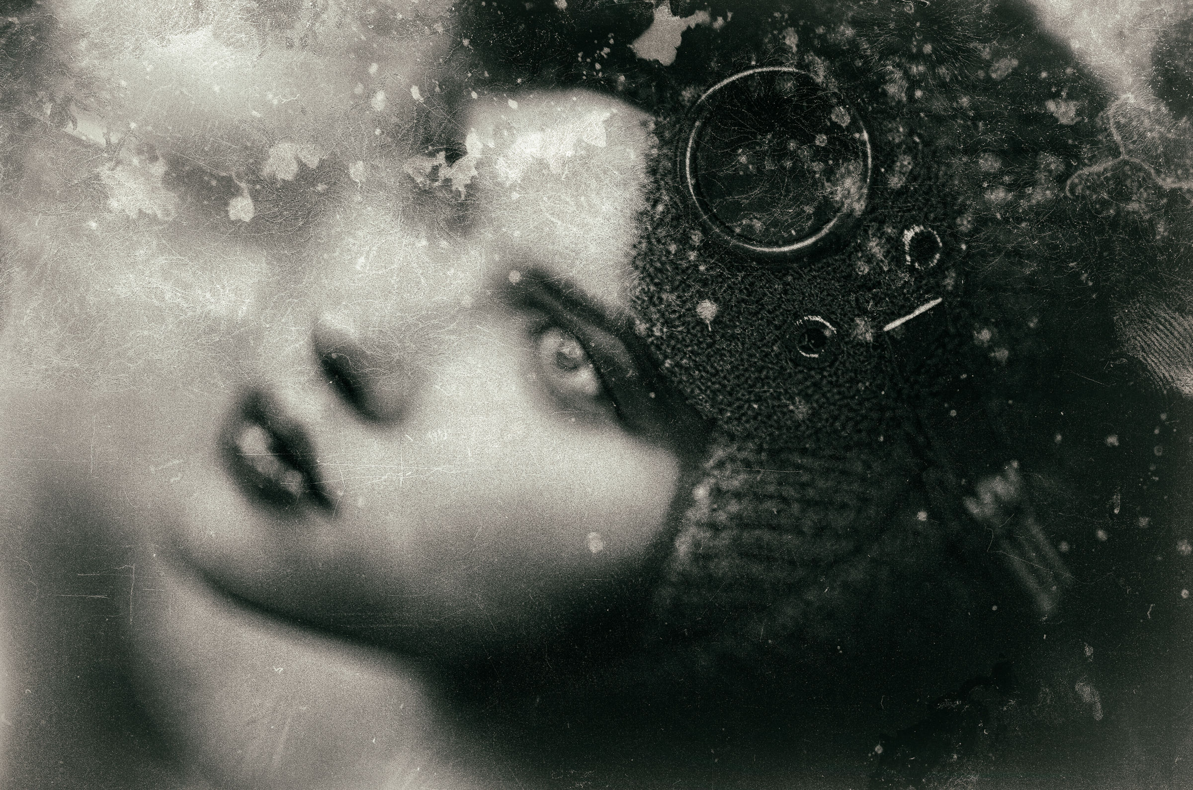 Aviatrix