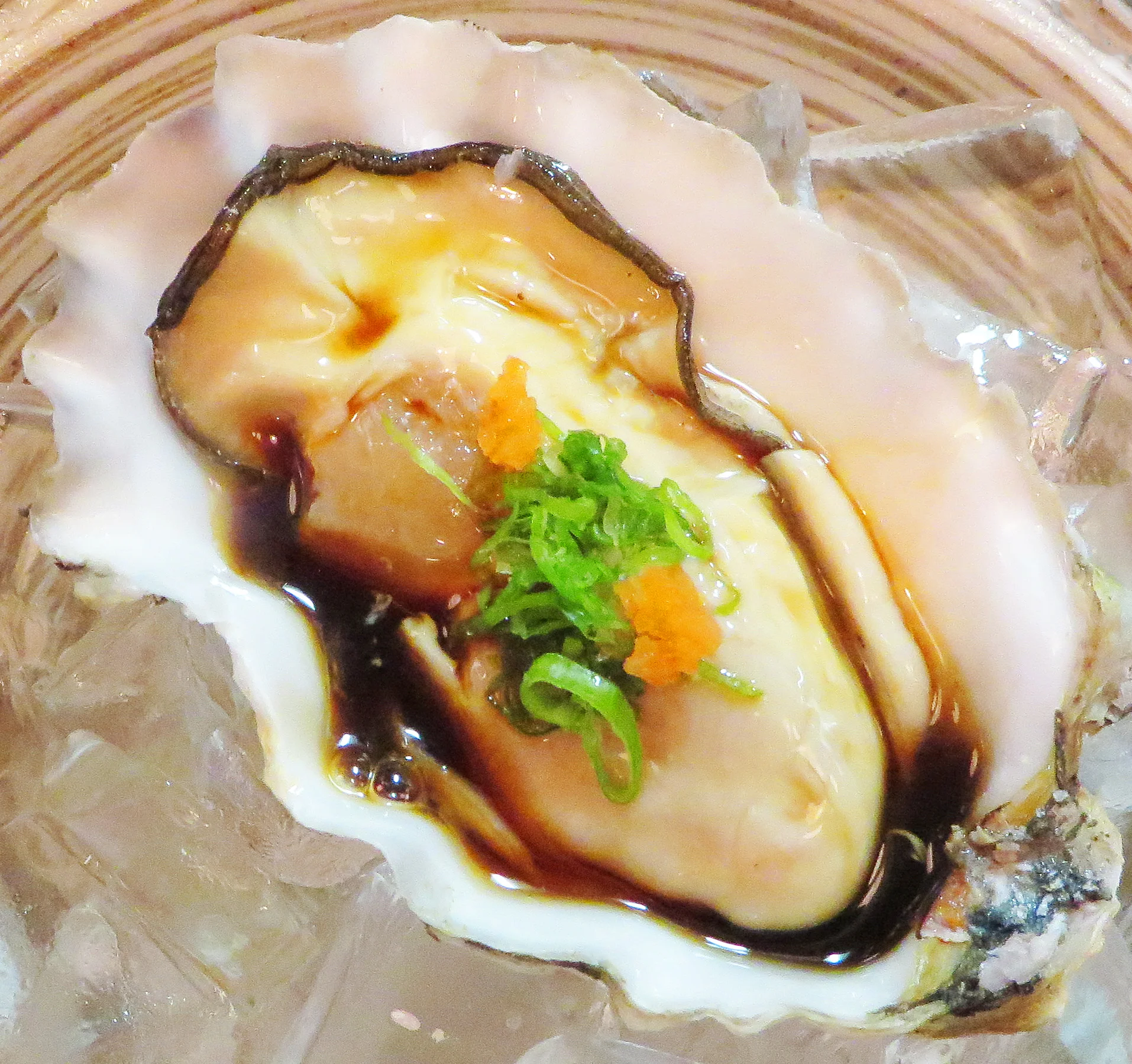 Pacific oyster 2.jpg