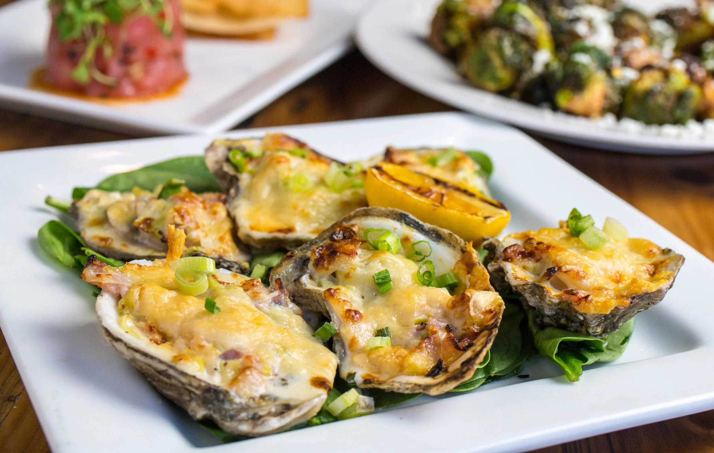 Oysters 3.jpg