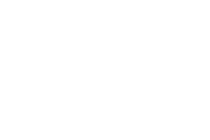 The Palm Event