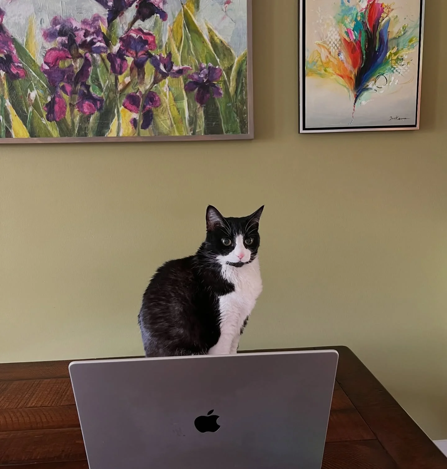 Rosie is answering all my calls and emails