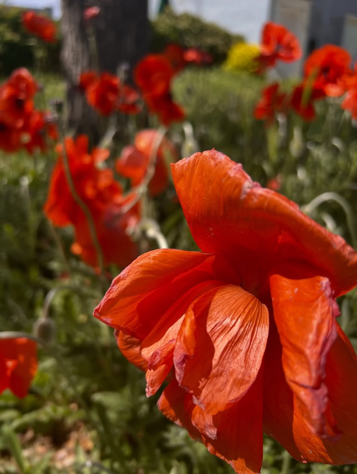 Do you spend your Sunday afternoons looking at open houses in your neighborhood or is it just us?