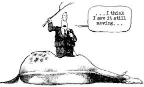 Another 50th Party..