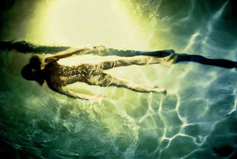 I Sing the Body Electric , 2003-05 color photograph 41" x 61"