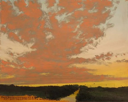 Salt Creek and Crows , 2009 oil on paper 17 1/4 " x 18 1/2 "
