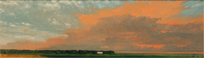 Hay Bale Shed and Crows , 2009 oil on paper 17 1/2 " x 36 1/2 "