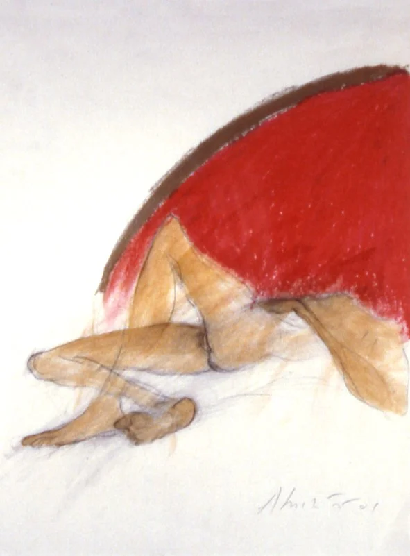 Metamorphosis of the Sun , 2001 charcoal, oil stick, and shellac on paper 31 1/4 " x 25 1/4 "