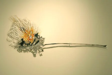 Firefrost , 2008 acrylic paint on Dura-lar, pins, shadows 21" x 48" x 3"