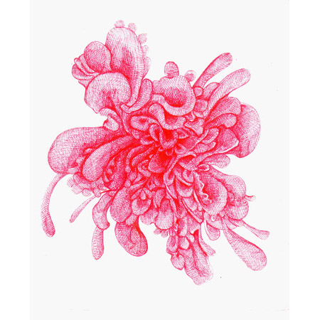 Julia Fernandez-Pol "Chrysanthemum," 2009 ink on paper 11 3/4" x 11"