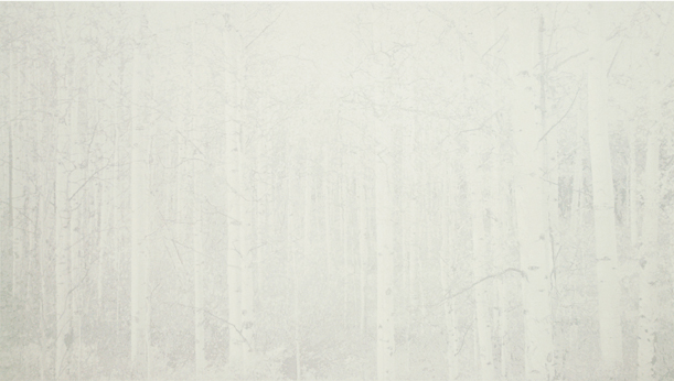 Balentane , 2012 lithograph (26/30) 22 11/16" x 35 1/4"