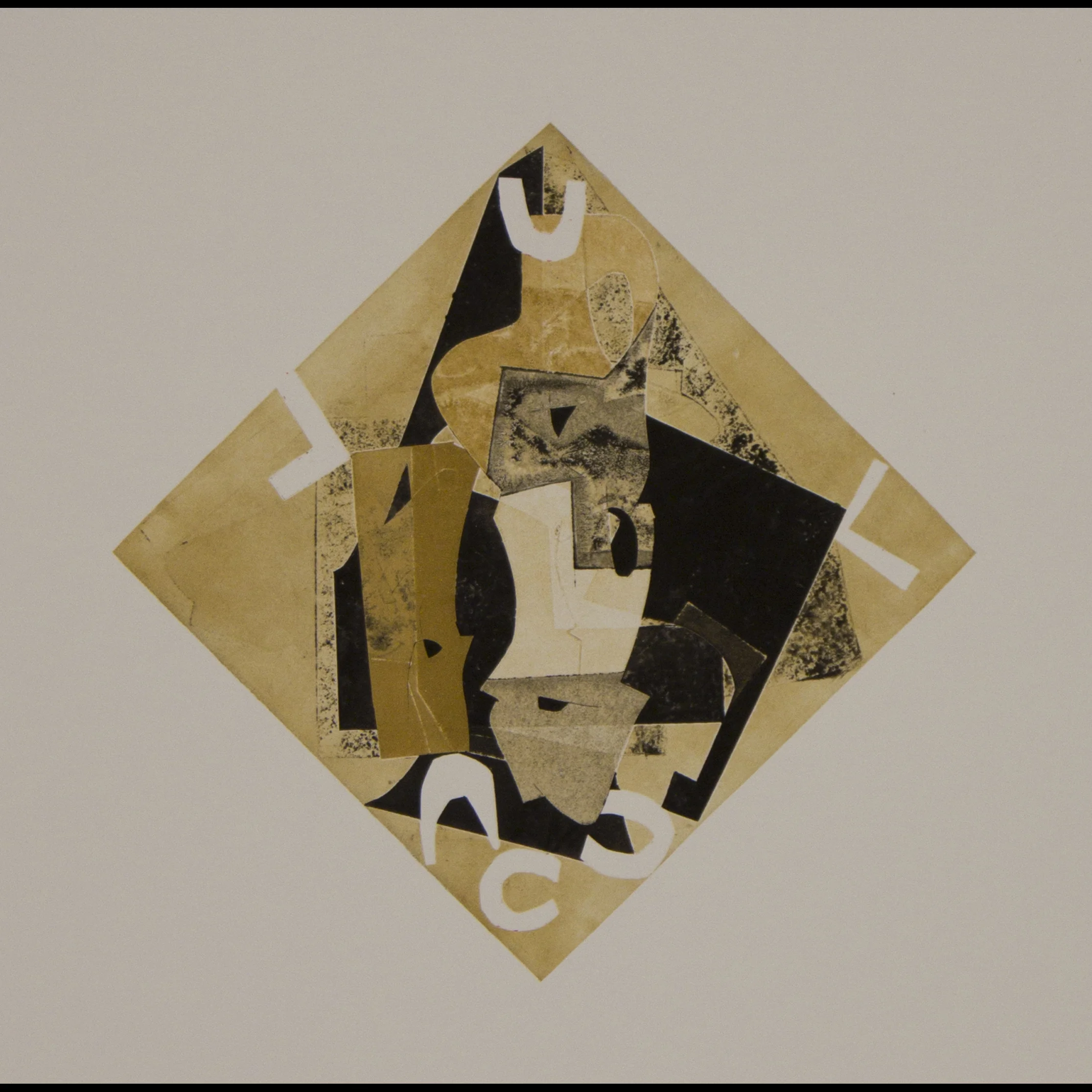 Variegation #23 , 2013 monoprint on Rives BFK 20 1/4" x 16 1/4"