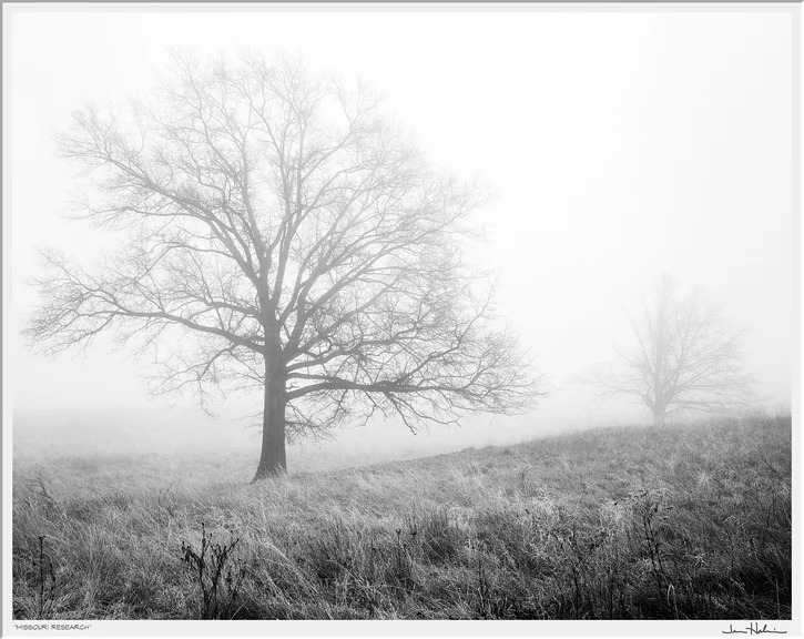 "Missouri Research," 1995 black and white photograph, print #2 25 1/8" x 29 1/8"