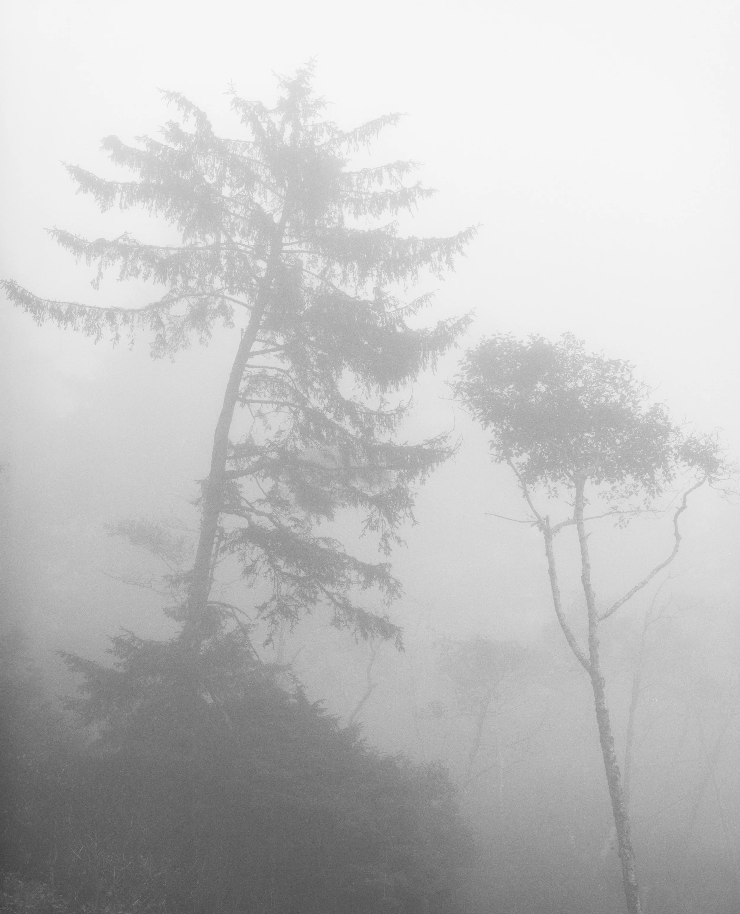 "Ruby Beach Illusion," 2003 black and white photograph, print #2 29 1/8" x 25 1/8"