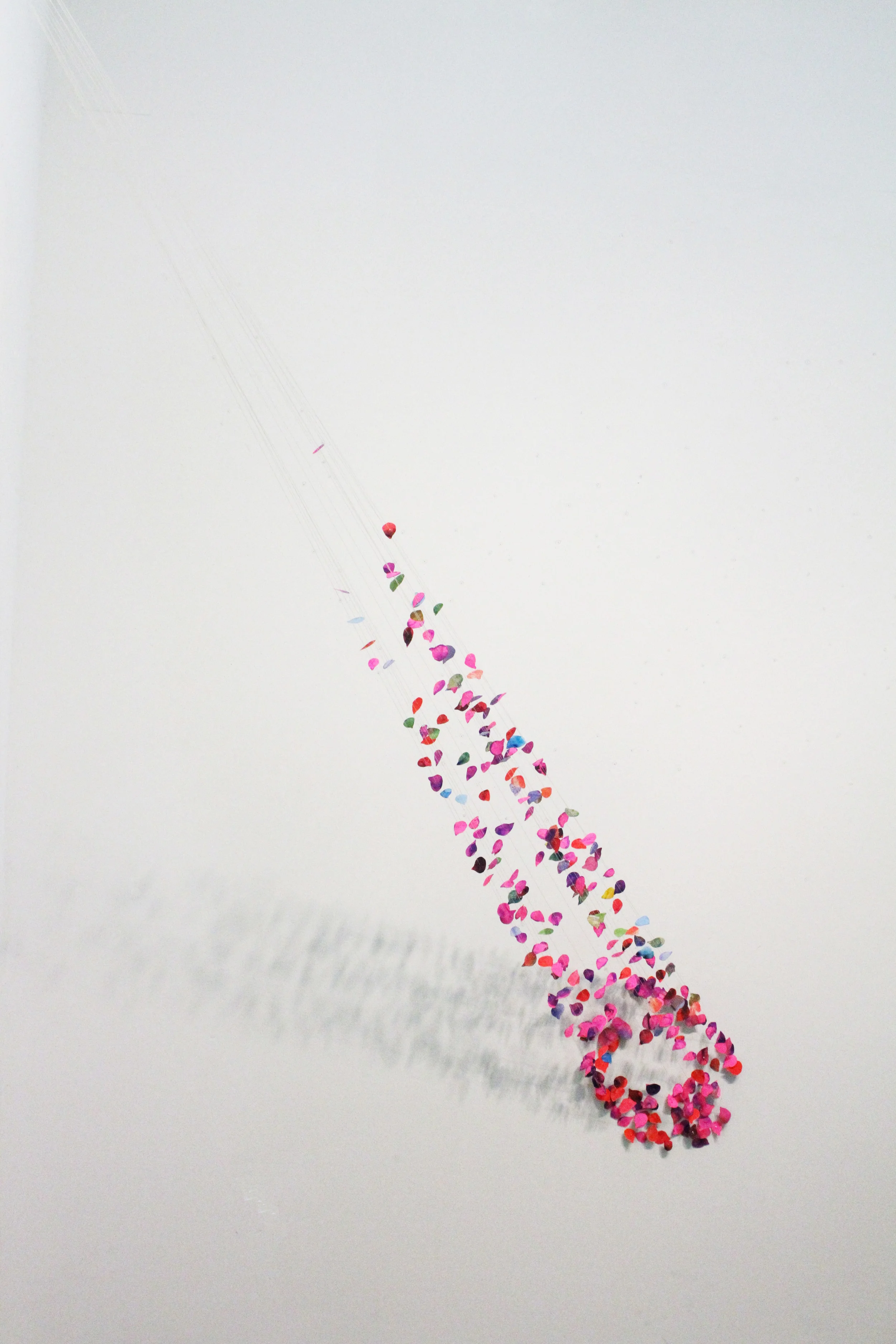 Untitled (Ray) , 2015 acrylic on paper, thread, pins 98" x 12" x 36"