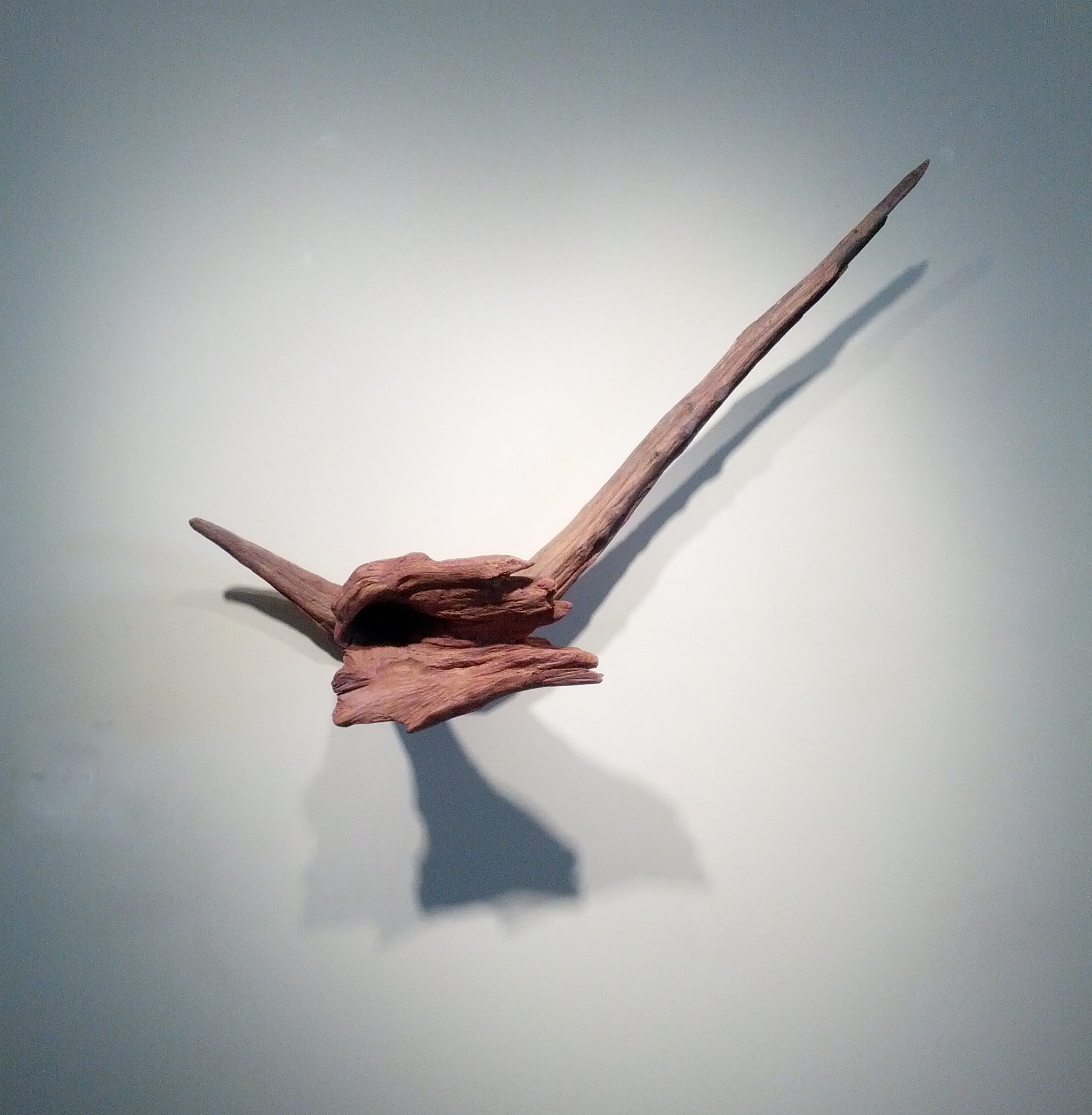 Jane Schneider, "Flora," 2000 wood and mixed media 18" x 37 1/2" x 8"