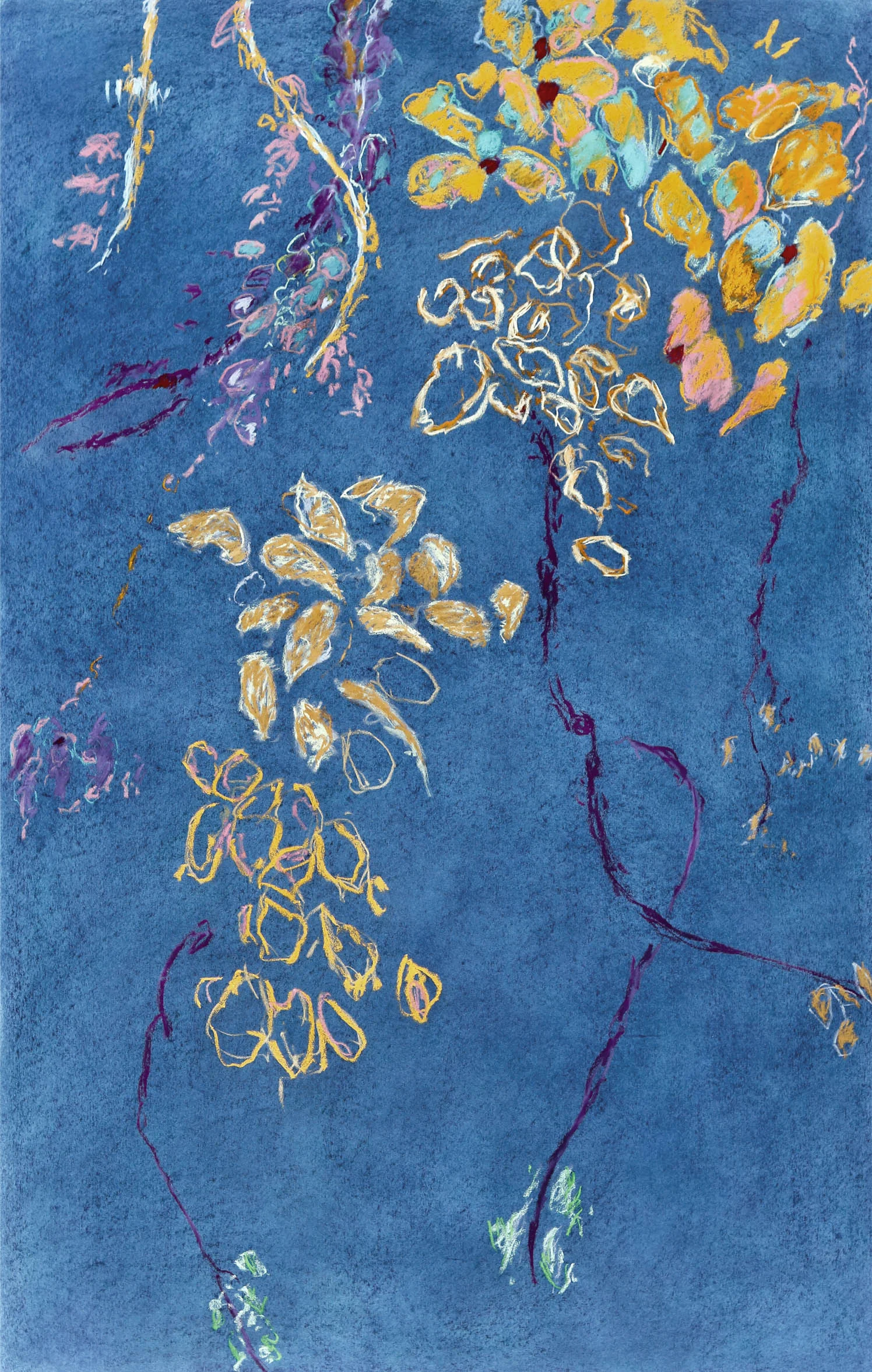 Fredrick Nelson, "Vines and Flowers," 2015 pastel on paper 61 1/8" x 41 1/8"