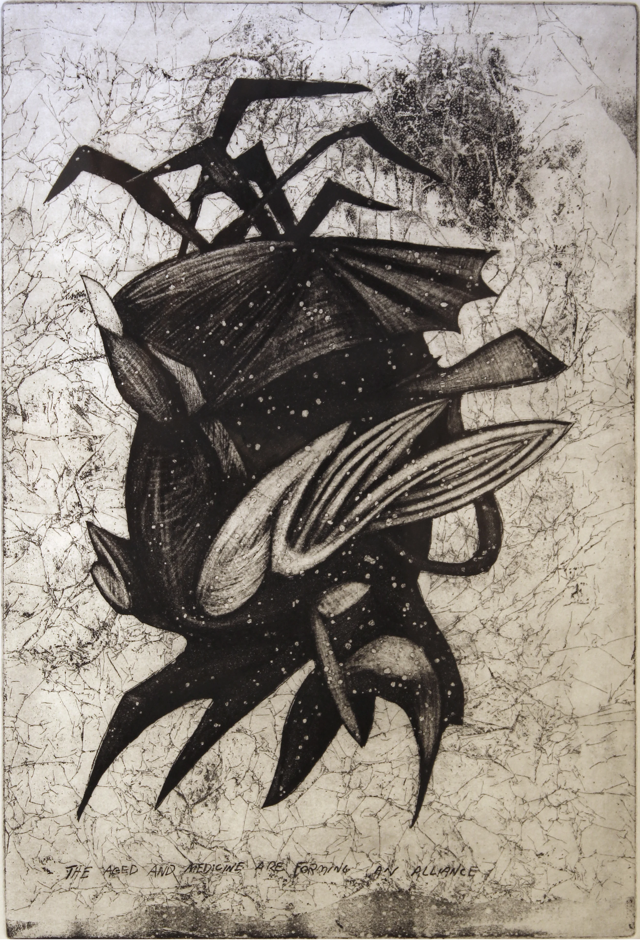Jim Nickel (BIO) "The Aged and Medicine are Forming and Alliance," 1996 etching 3/25 27" x 21"