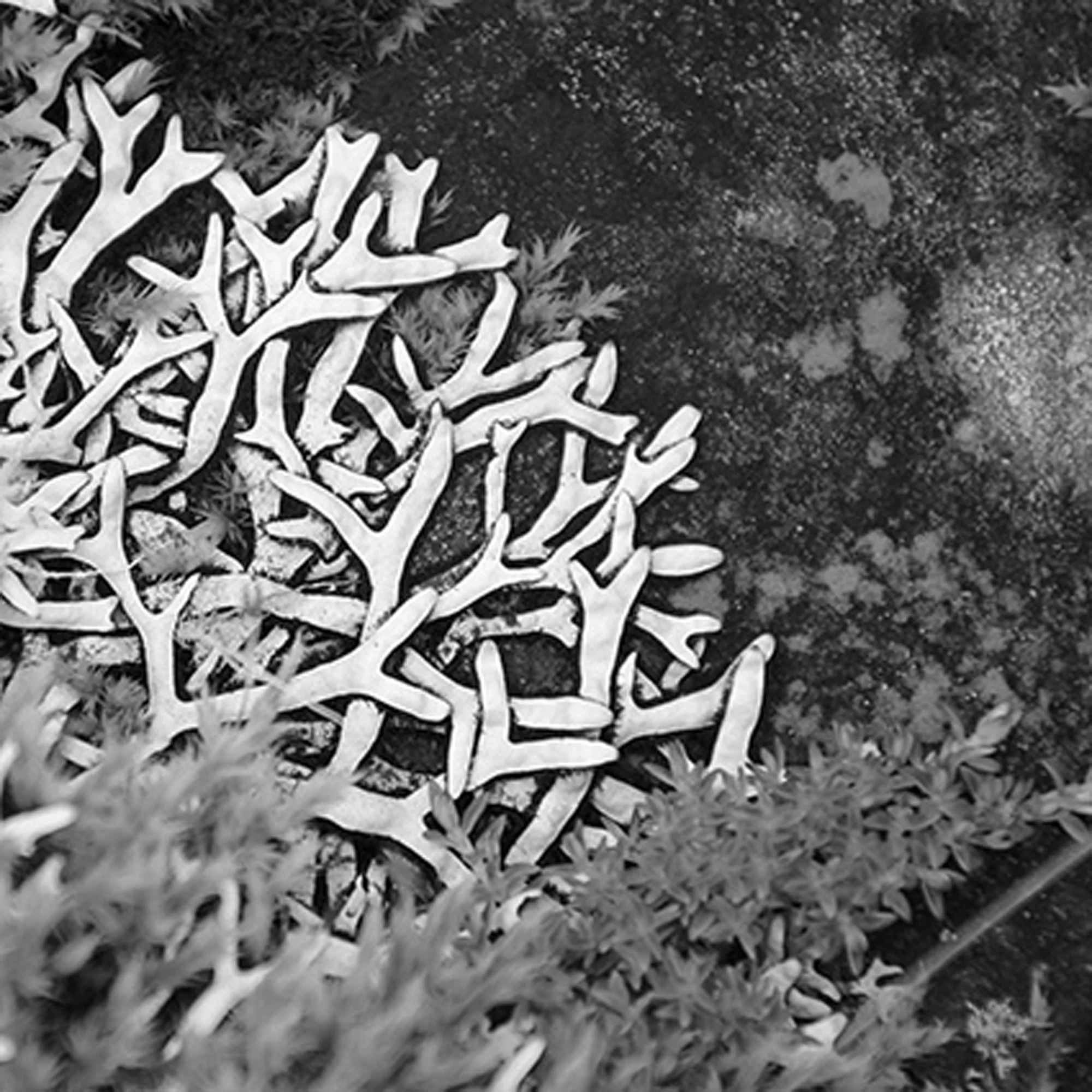 Acuafactoría 8, 2014 black and white photography 2/4 21 5/8" x 21 5/8"
