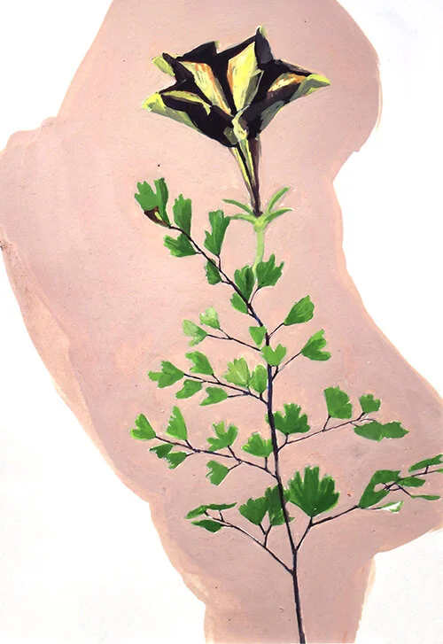 Elizabeth Thach, “ Petunia and Maidenhair Fern,” 2014, gouache on paper, optional wallpaper, 17” x 13 1/2”, $600
