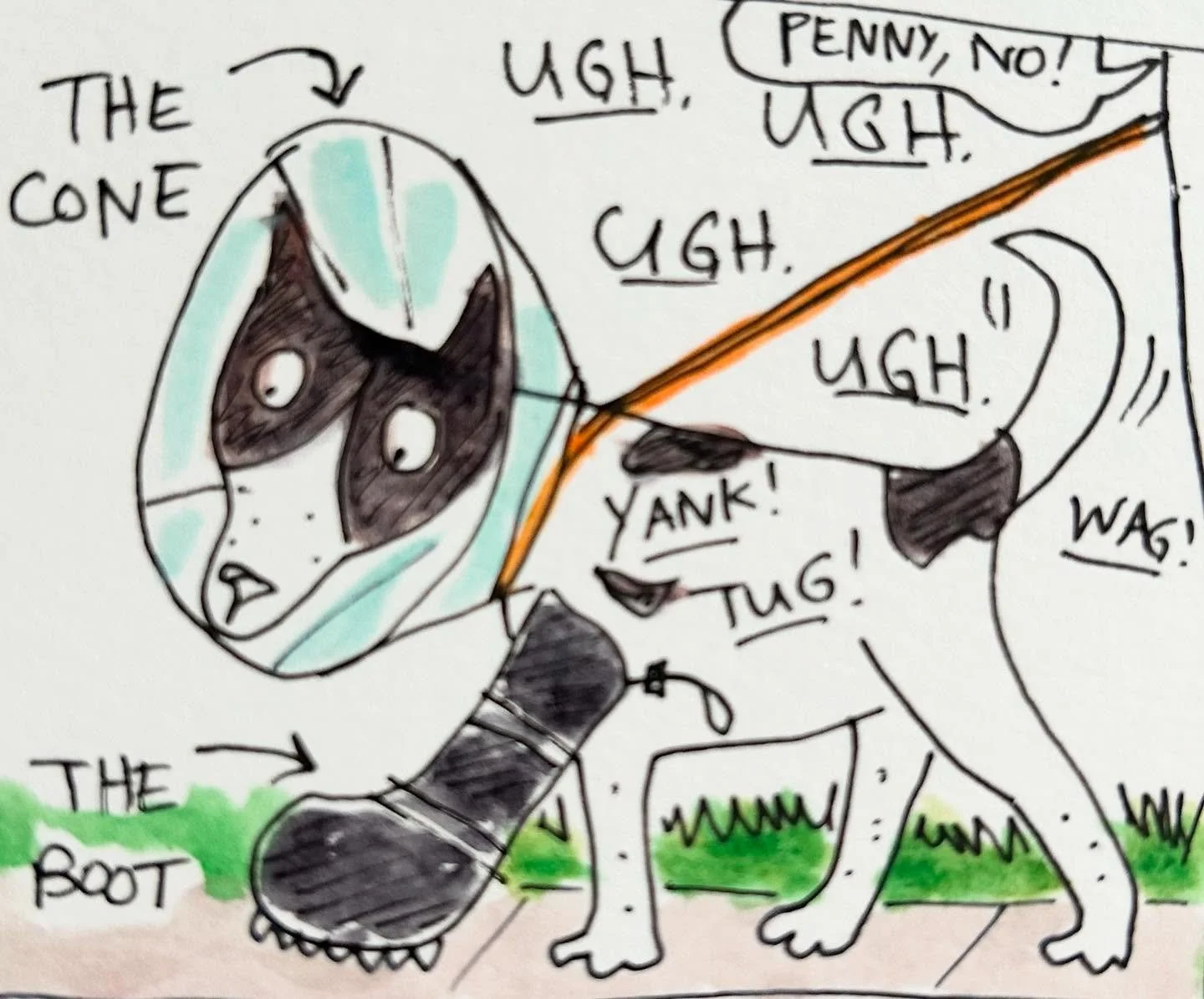 Shoutout to Penny, who inspires me with her joie de vivre despite her ongoing challenges. Also to @cara_gormally whose workshop at @comicsworkshop inspired this @espscrawl #buckethead #dogstagram