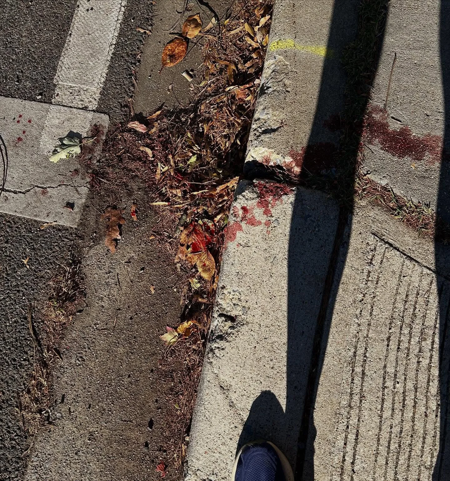 No banana peel was involved, but an older lady fell off the curb across the street from me this morning. She&rsquo;s at the hospital now, and I wish her a speedy recovery. Her last name is Sweet - if anyone in my neighborhood knows her, please contac