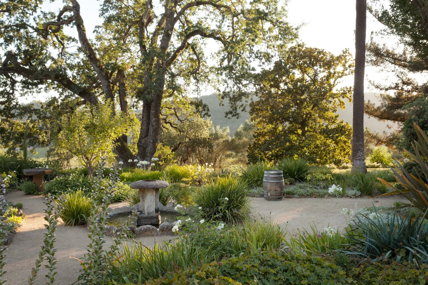 Stags' Leap Winery