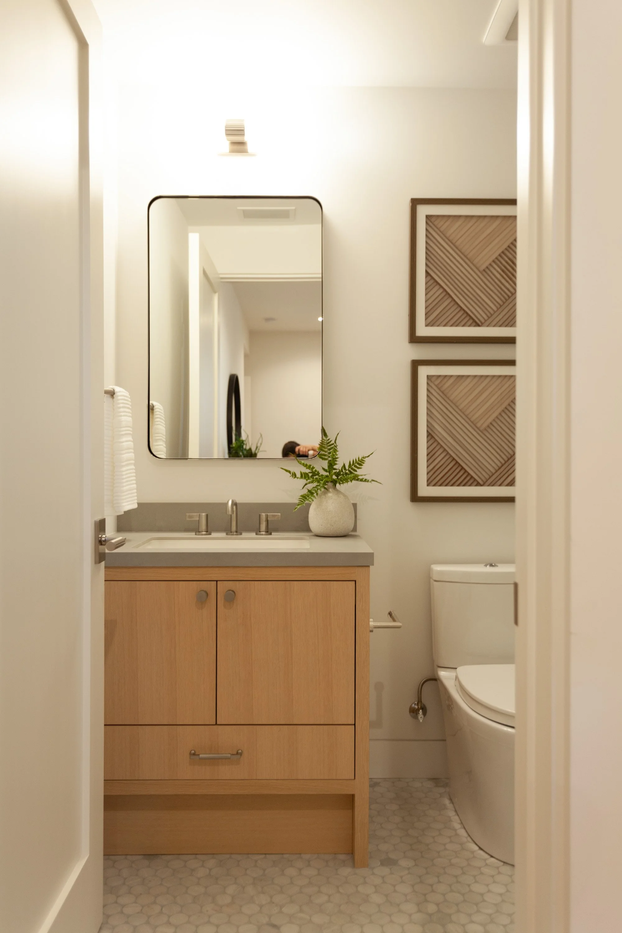 Downstairs Bathroom-1.jpg