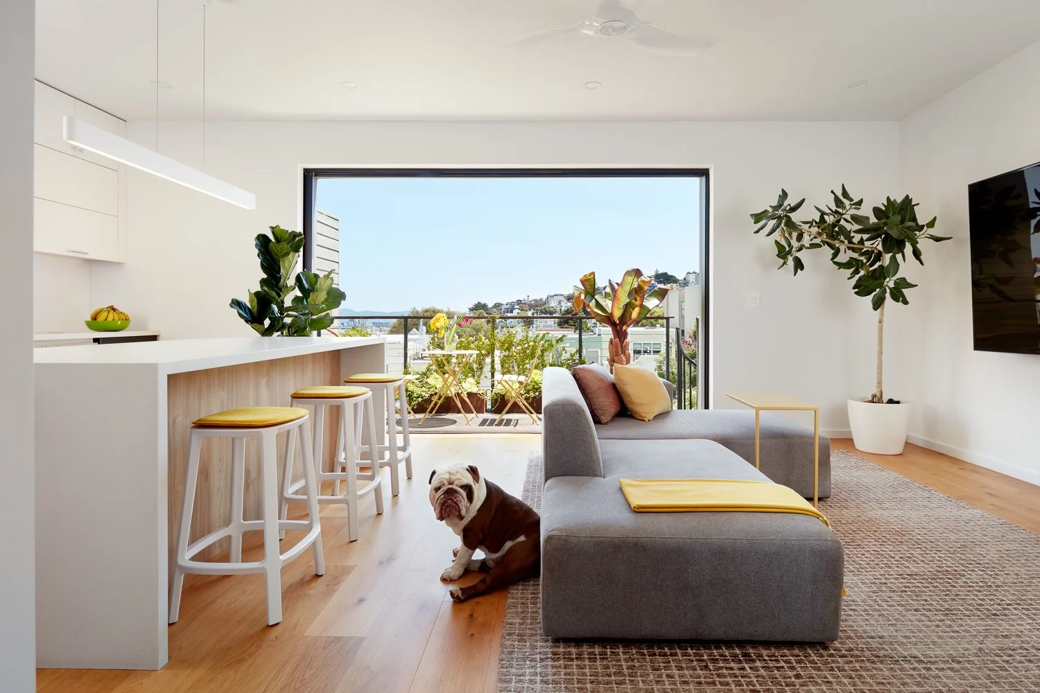 Raumfabrik_SF_Eureka St_9.jpg