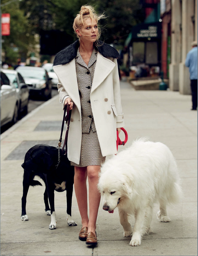 Gioia magazine