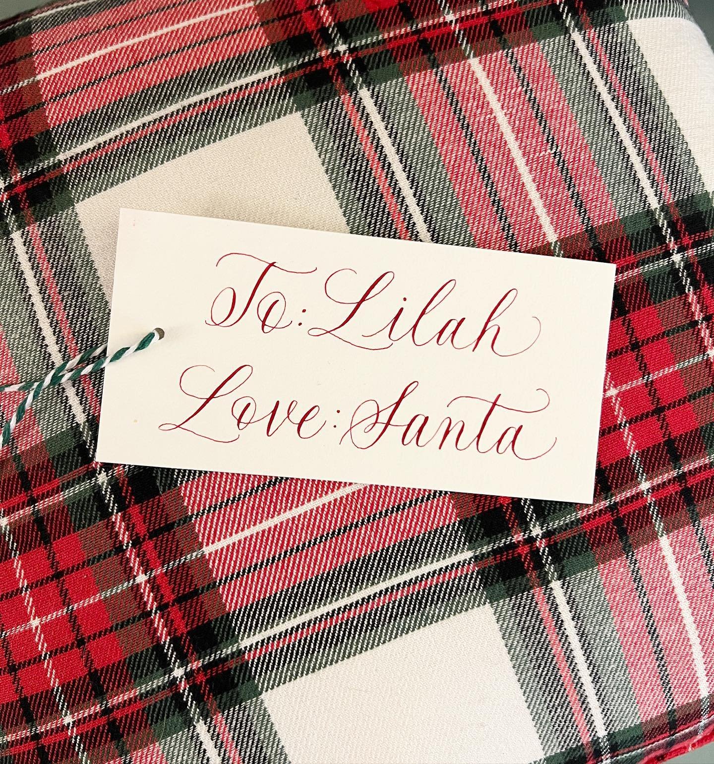 Merry Christmas and happy holidays, friends! Wishing you a wonderful day with those you love. Thank you for being part of my community - I am so very grateful for each of you.