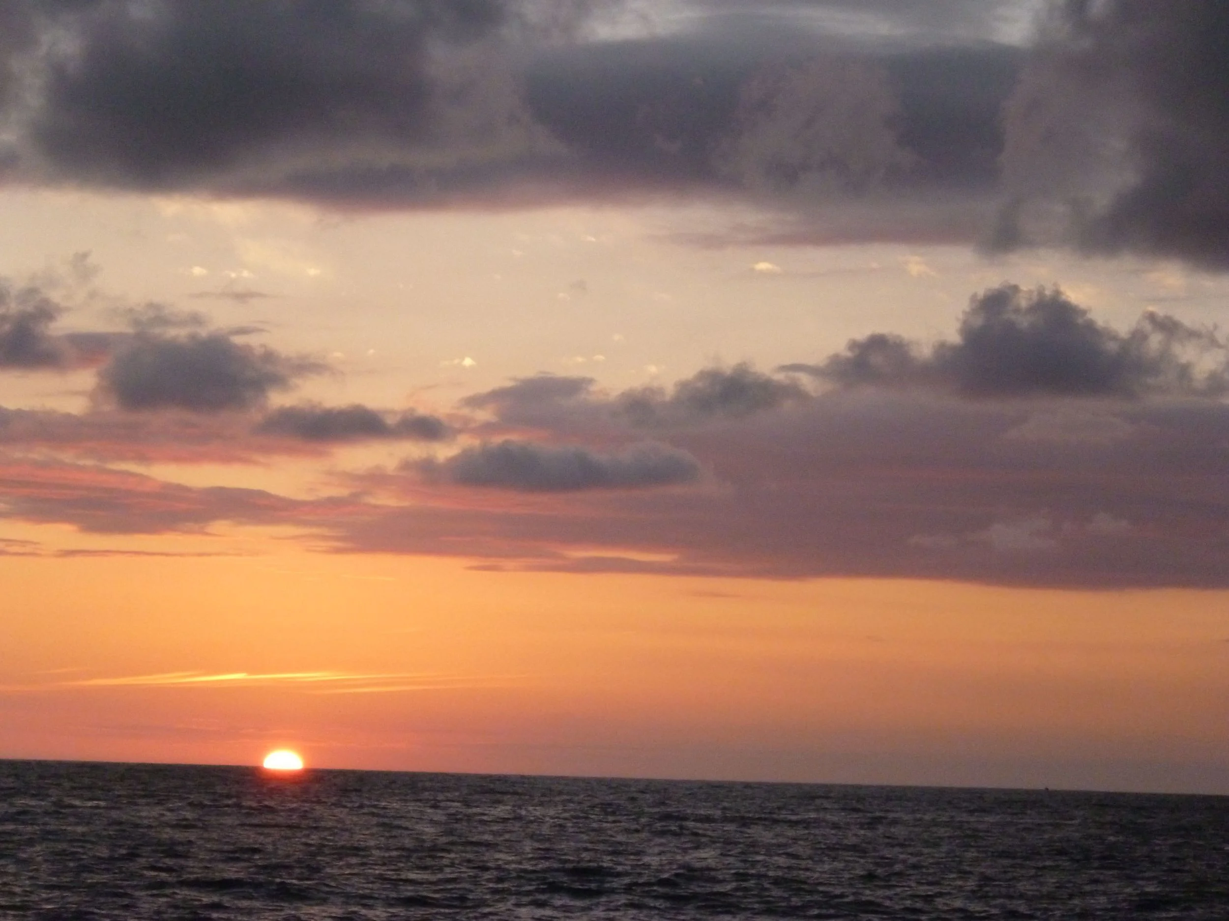 P1000072.jpg