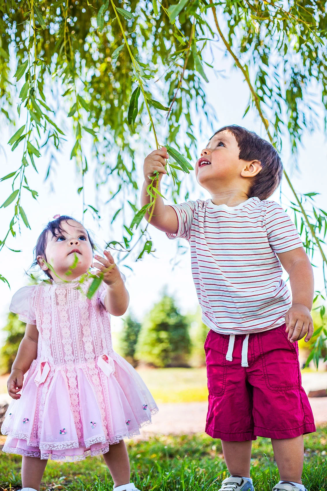 SASHA PREZIOSA PHOTOGRAPHY, NJ FAMILY PHOTOGRAPHY, FAMILY SESSION