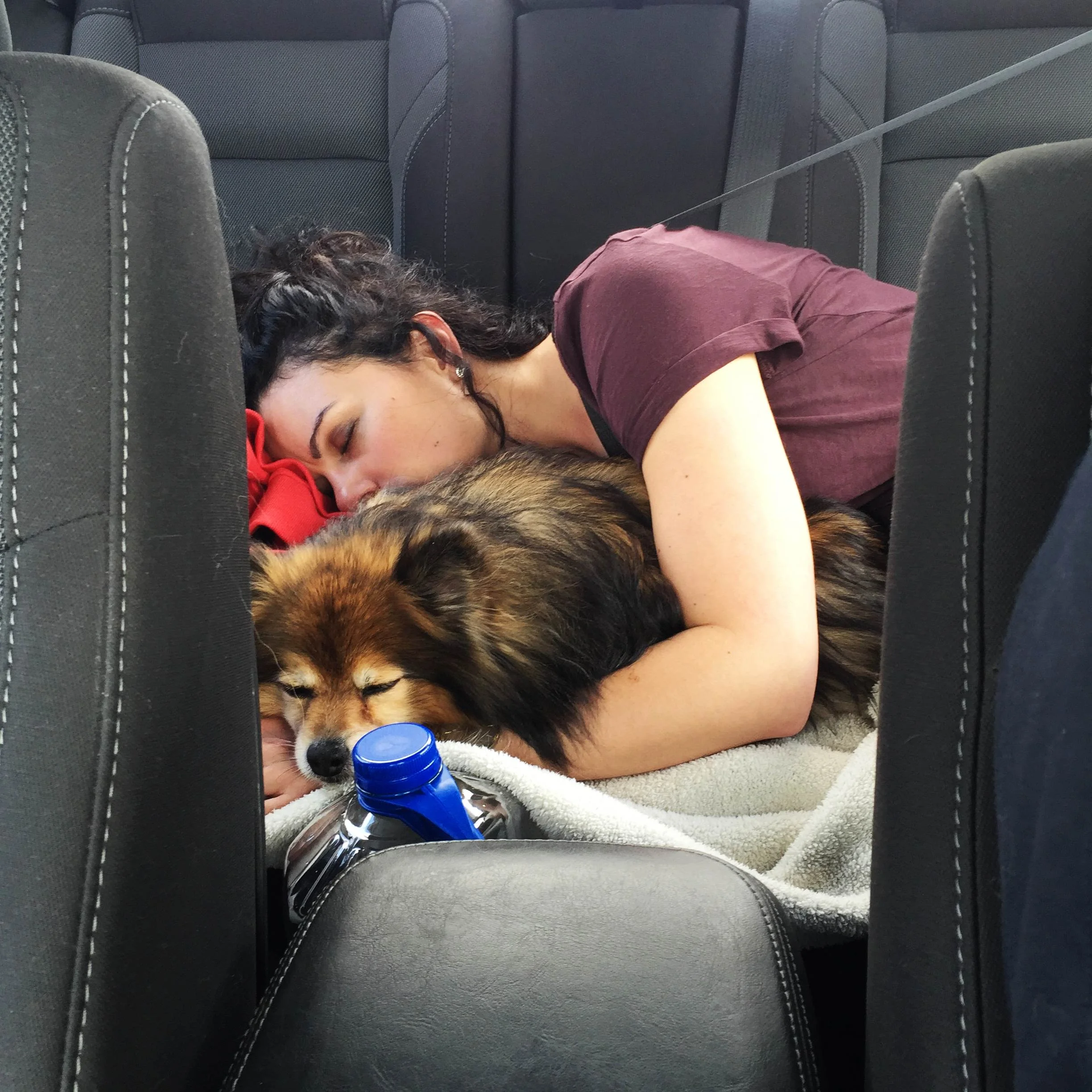 Mother and Pup.jpg
